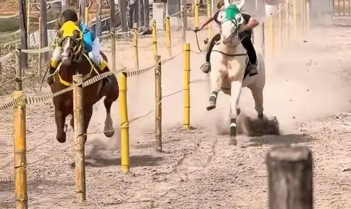 1ª Corrida de Prado é sucesso de público em Pacajá