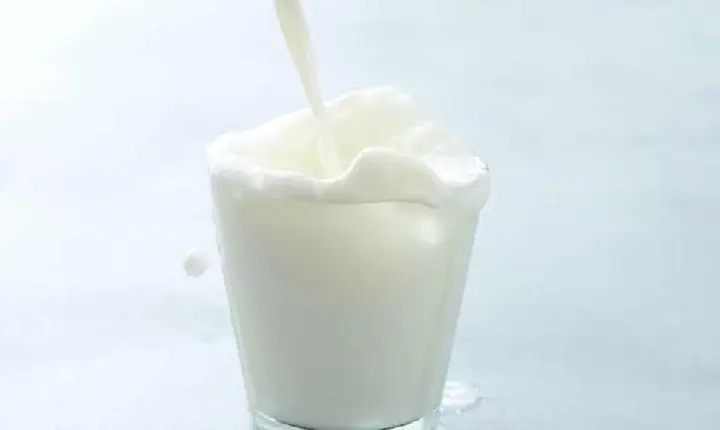 Açúcar ou proteína? Entenda por que intolerância à lactose e alergia ao leite não são a mesma coisa