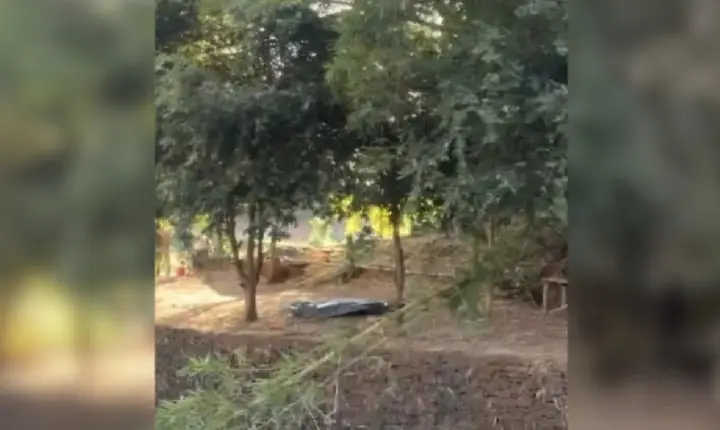 Araguaína: homem é encontrado morto em barraco às margens de córrego