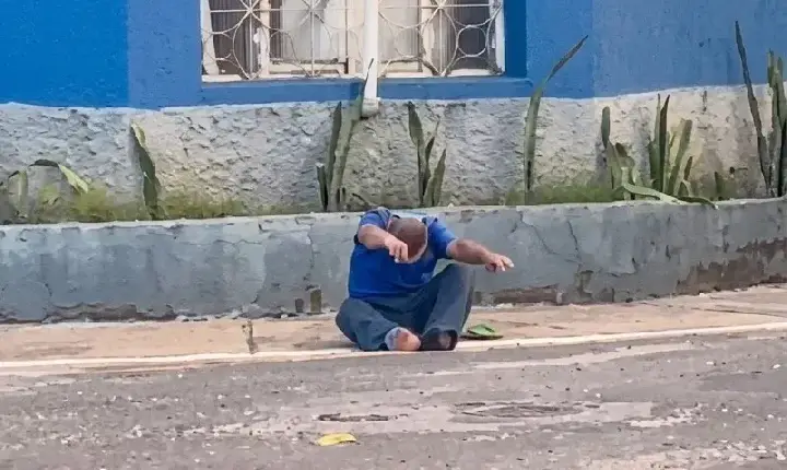 Ataque de abelhas deixa três feridos em Tucuruí
