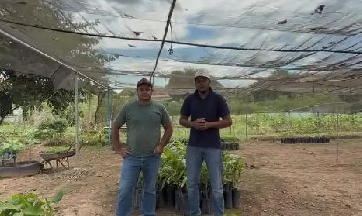 Bannach celebra Dia Mundial do Meio Ambiente com distribuição de mudas frutíferas