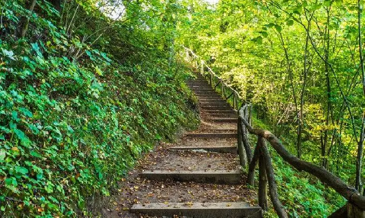 Breu Branco recebe 2ª edição da Trilha Florestal