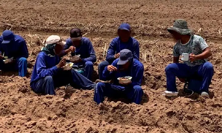 BYD, Amado Batista e fazendas do Pará entram na lista suja do trabalho escravo