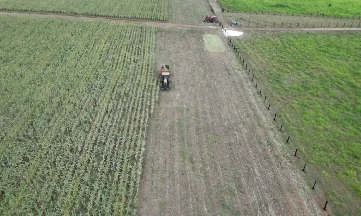 Canaã dos Carajás publica edital do Procampo com mais de 300 vagas