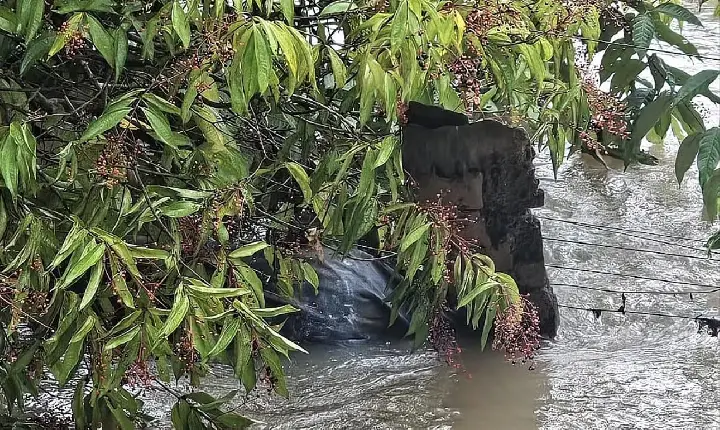 Corpo encontrado em córrego de Tucumã é identificado como jovem de 19 anos desaparecido
