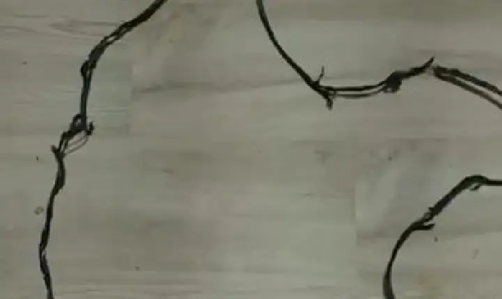 Criança sofre grave descarga elétrica ao brincar com carregador em Parauapebas
