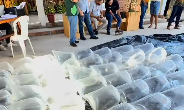 Dr. Rener fortalece a piscicultura com entrega de alevinos a produtores de Redenção