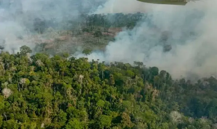 El Niño coloca Pará em alerta para seca prolongada e aumento do risco de queimadas