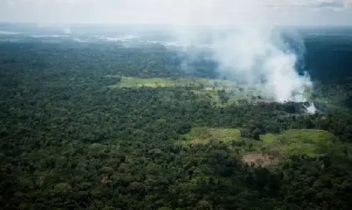 El Niño pode agravar seca e mobiliza força-tarefa na Amazônia