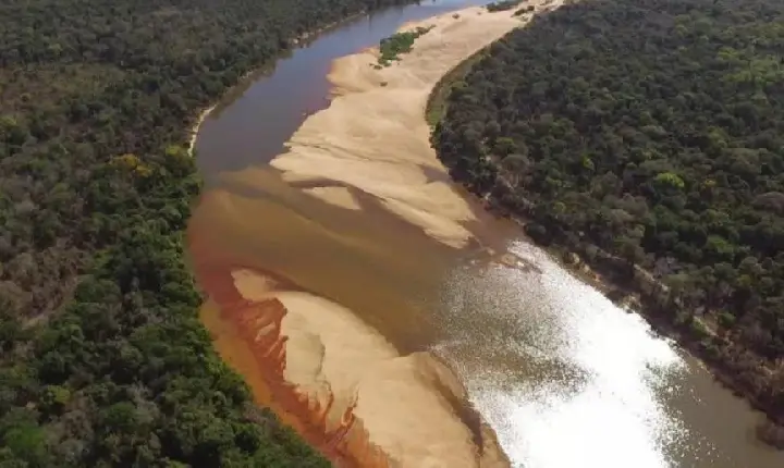 Empresa admite desmatamento ilegal e é obrigada a recuperar mais de 3 mil hectares no Tocantins