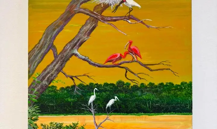 Galeria de Imagem