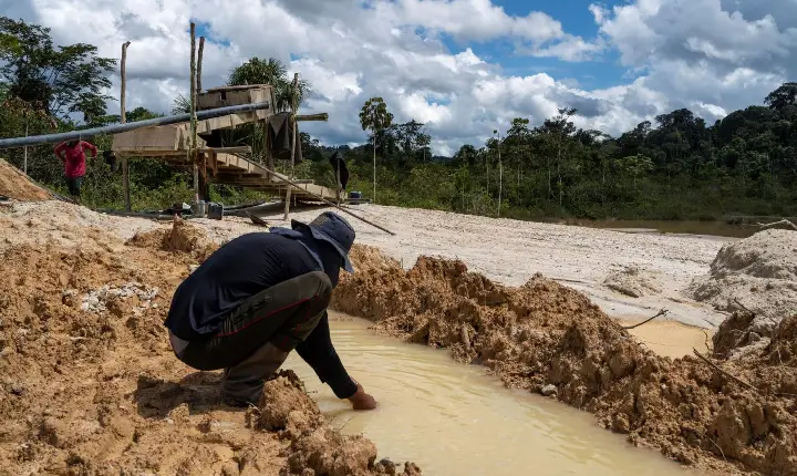Garimpos podem migrar para mineração de pequena escala, diz estudo