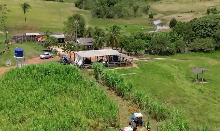 Goianésia do Pará reforça apoio ao campo com colheita mecanizada para produção de silagem