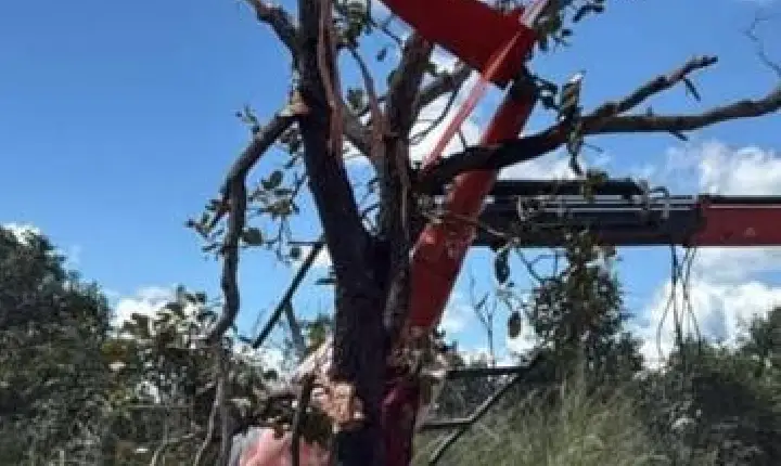 Helicóptero do pai de Henrique e Juliano faz pouso de emergência no Tocantins