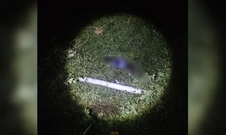 Homem é encontrado morto com golpes de arma branca em lixão de Imperatriz