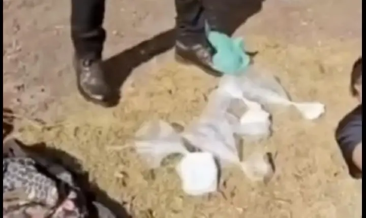 Homem é preso com drogas em van de passageiros em São Geraldo