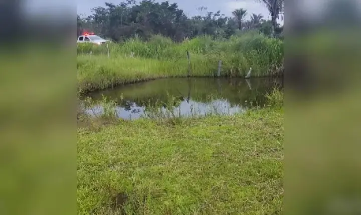 Idoso de 81 anos morre e duas pessoas ficam feridas após ataque de abelhas no Tocantins