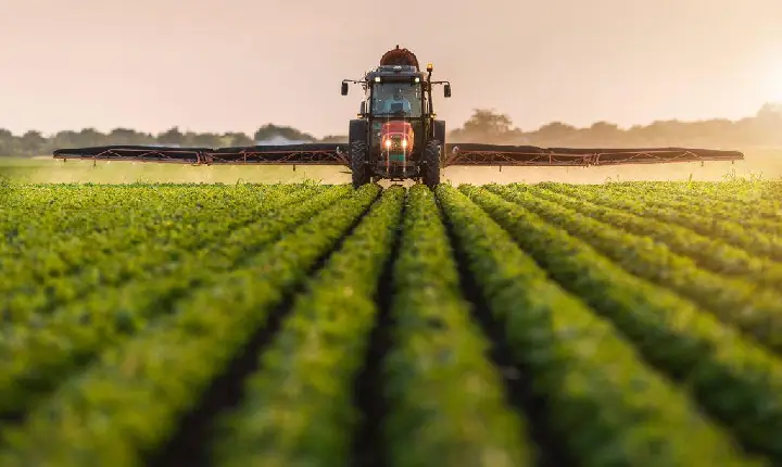 Jacundá cresce no incentivo à agropecuária, aponta dados do IDAM