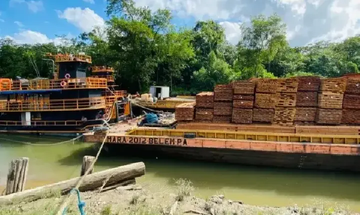 Justiça torna réu “olheiro” de esquema de madeira ilegal no Rio Xingu