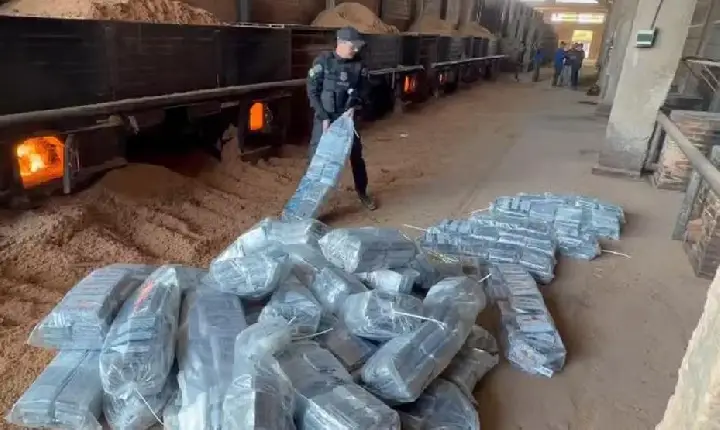Mais de 1,3 tonelada de cocaína apreendida em carga de milho em Moju é incinerada