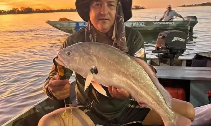 Major da PM morre após ataque de enxame de abelhas durante pescaria no Tocantins
