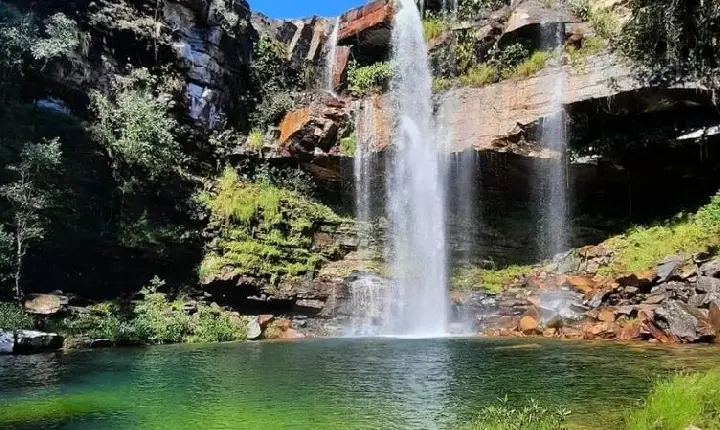 Menina de 8 anos é atacada por onça durante trilha na Chapada dos Veadeiros