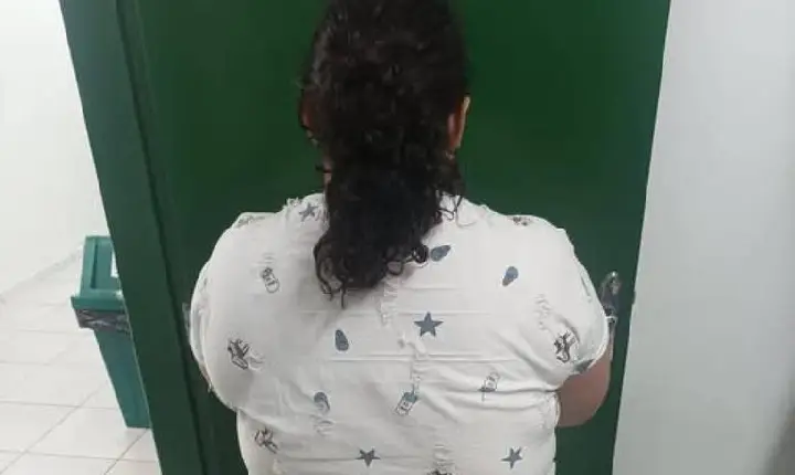 Mulher de 37 anos é presa em SC após fingir ser adolescente de 12 anos e ser acolhida por família