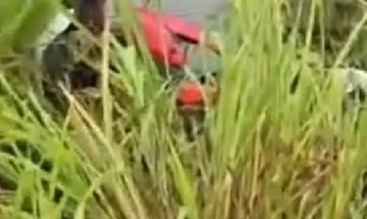 Mulher é encontrada morta às margens da VS-40 em Canaã dos Carajás