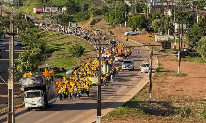 Galeria de Imagem
