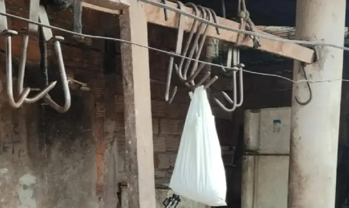 Operação integrada fecha abatedouros clandestinos e apreende carne imprópria em Paragominas