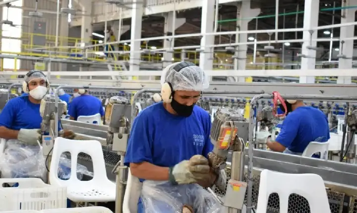 Pará lidera inserção de jovens no mercado de trabalho na região Norte