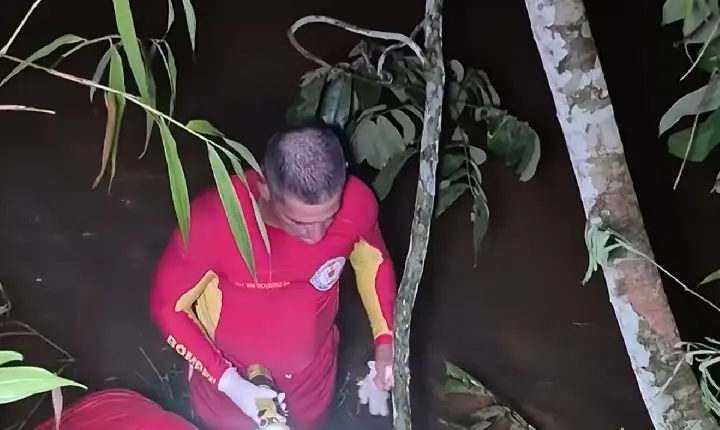 Parauapebas: Corpo é encontrado às margens de córrego na Vila Palmares