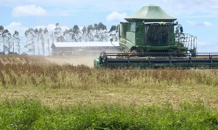 PIB do Pará cresce acima da média nacional no quarto trimestre de 2025