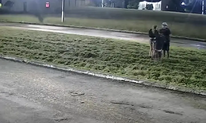 PM prende dupla que rendeu e assaltou mulher, em Cametá