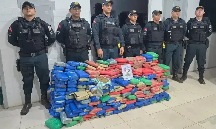 Polícia Militar apreende mais de 460 kg de maconha em São Domingos do Araguaia