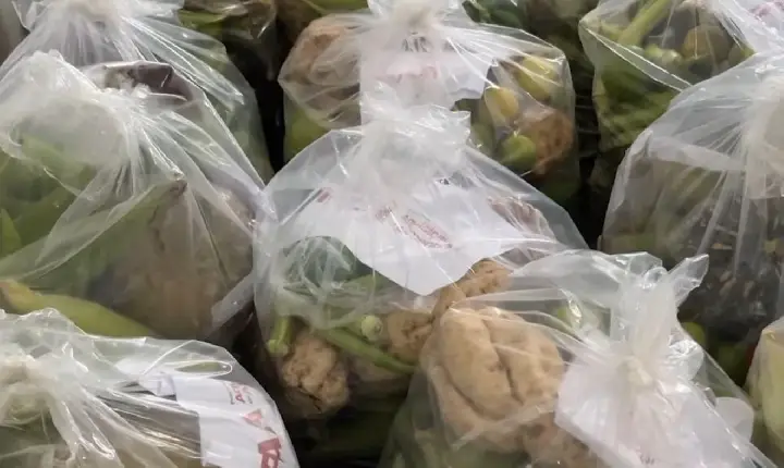 Prefeitura de Pacajá distribui cestas verdes para famílias atendidas pelo CRAS