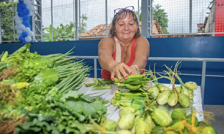 Prefeitura de Tucuruí inicia pagamento do Auxílio Feirante