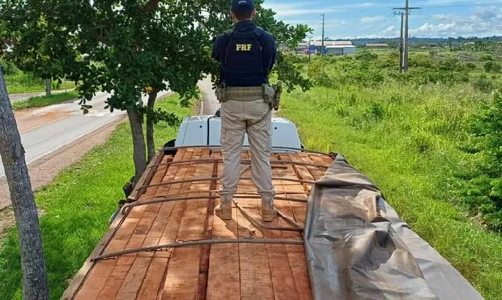 PRF apreende 57 m³ de madeira ilegal na BR-230, em Vitória do Xingu