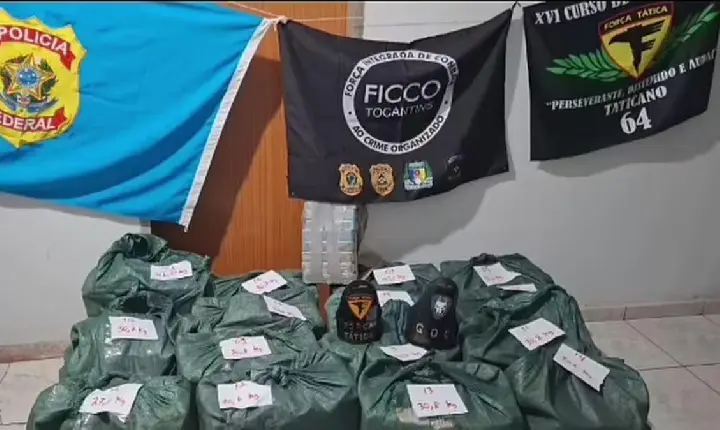 Quase meia tonelada de drogas é apreendida em carga de abacaxi no Tocantins