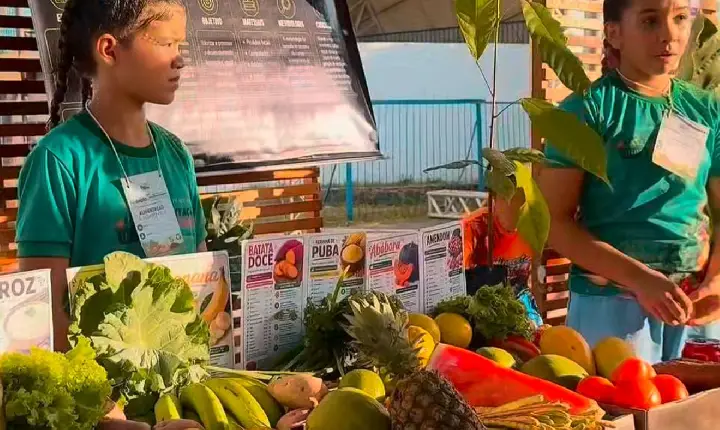 Semed de Novo Repartimento promove projeto de educação ambiental e sustentabilidade