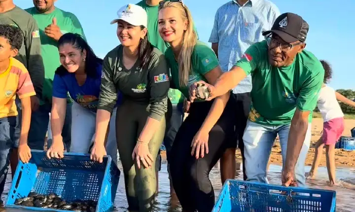 Soltura de quelônios transforma Piçarra em referência de preservação ambiental
