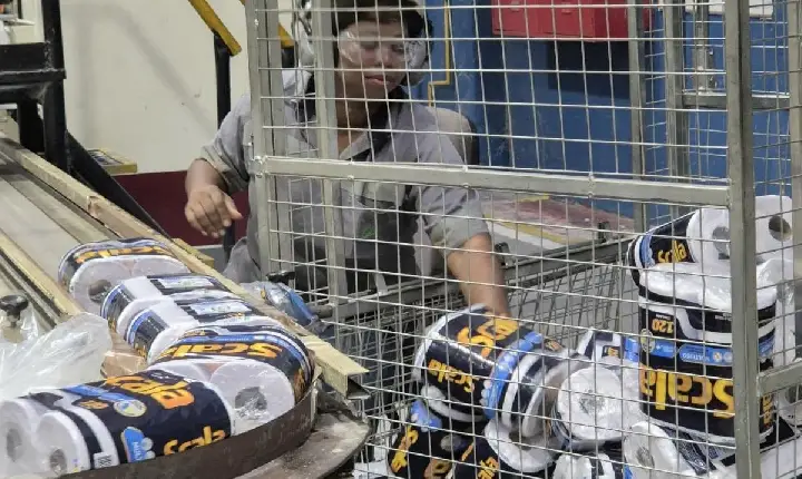 Suzano abre inscrições para Programa de Estágio Técnico 2026 no Pará