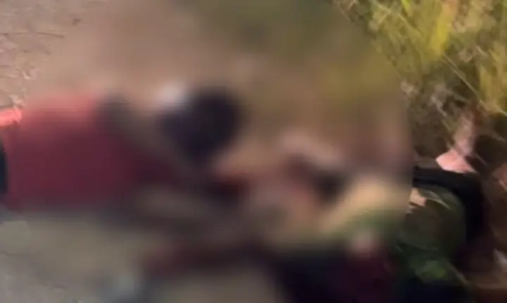 Terror e crueldade em Parauapebas: triplo homicídio é registrado no Liberdade II