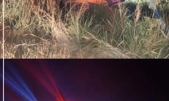 Tragédia na PA-279: família morre em acidente entre Xinguara e Água Azul do Norte