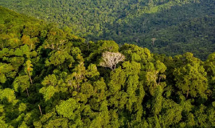 Vale vai mostrar Complexo de Carajás ao mundo durante Exposição Internacional na China