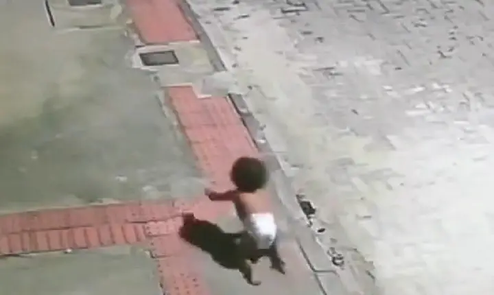 VÍDEO: bebê de 1 ano é encontrada engatinhando sozinha em avenida durante a madrugada