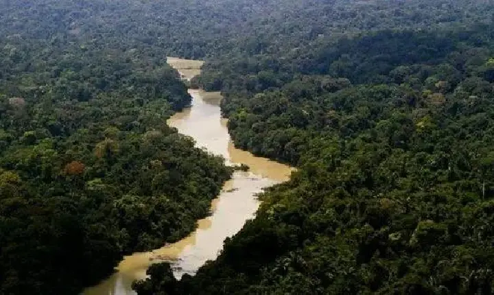 Vitória do agronegócio: Senado reduz 40% de Floresta Nacional em Novo Progresso e Itaituba