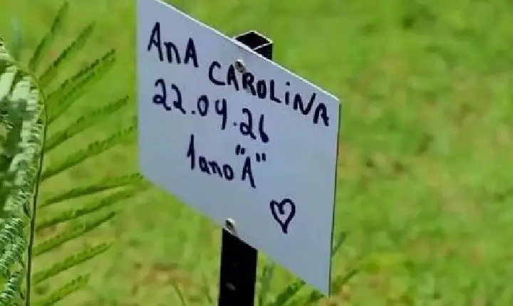 Xinguara investe em educação ambiental com plantio de mudas no Jardim do Lago