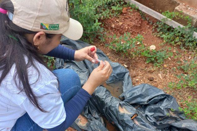 Saúde intensifica combate à dengue em Canaã dos Carajás