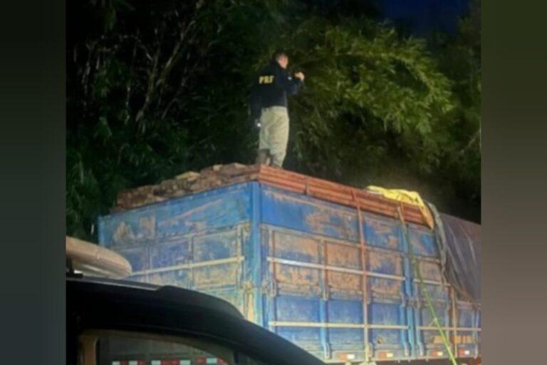 PRF apreende 42 m³ de madeira ilegal em Bom Jesus do Tocantins